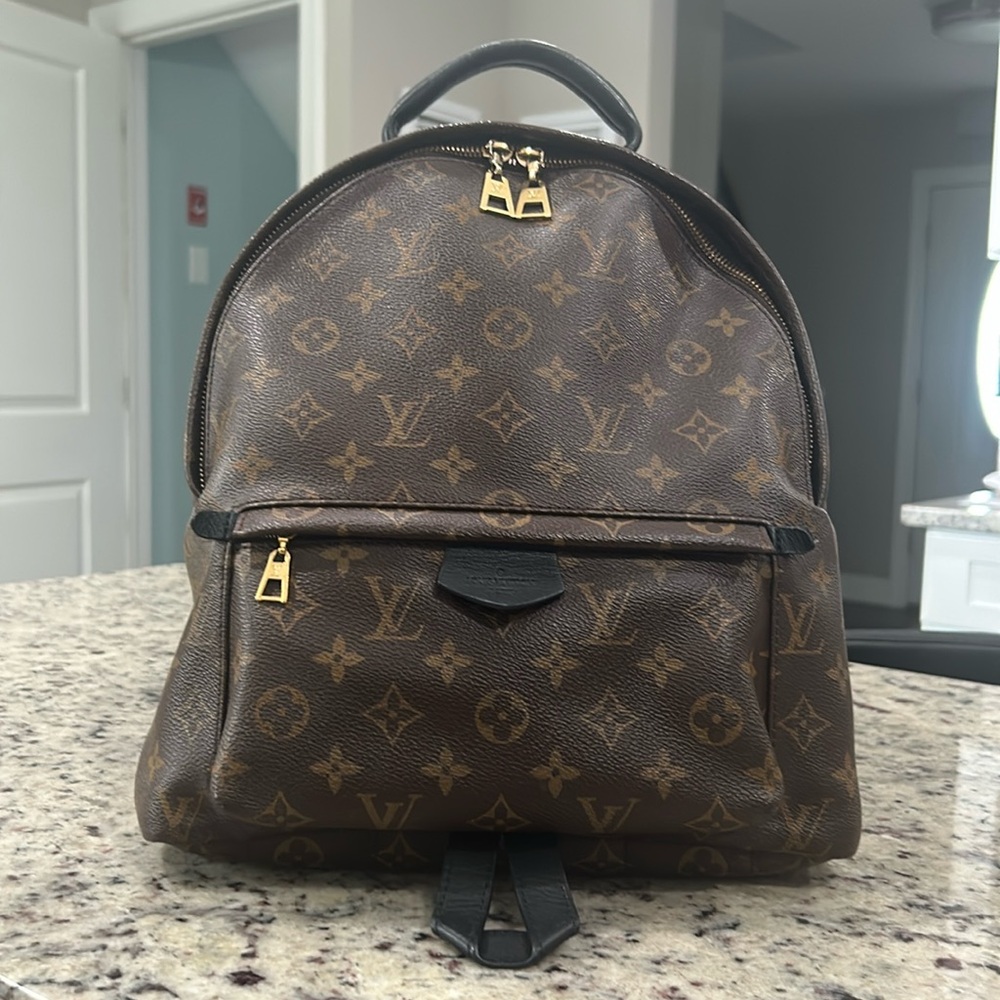 Louis Vuitton Palm Springs Backpack MM